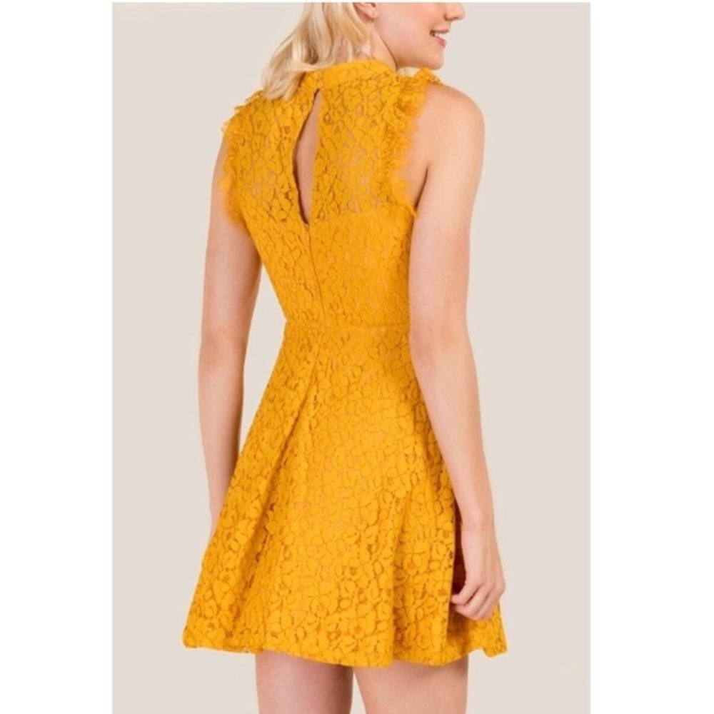 Francesca’s Lace Sleeveless Mock Neck Dress - Picture 3 of 12